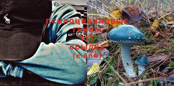 таблы Богородицк