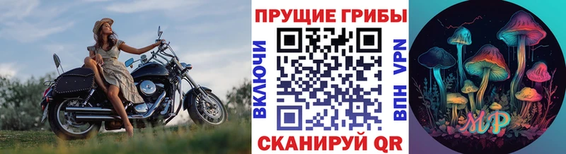 цены наркотик Малая Вишера Галлюциногенные грибы Magic Shrooms